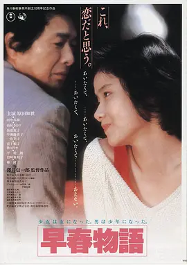 中文字幕电影观看高清《雾港回声》海报