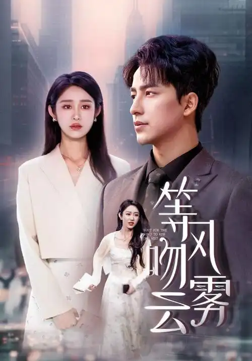 中文字幕律政剧《沉默的证词》封面